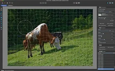 Liquify Persona: Modul für komplexe Verzerrungen