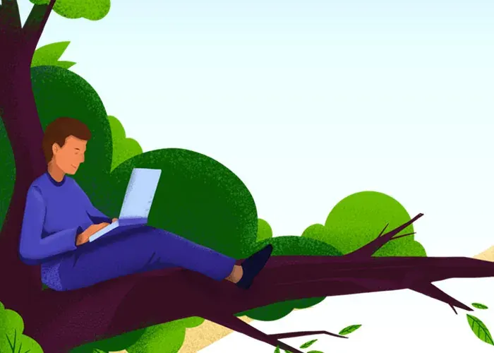 Beitragsbild: Nachhaltiges Webdesign: Wie viel CO₂ steckt in deiner Website?