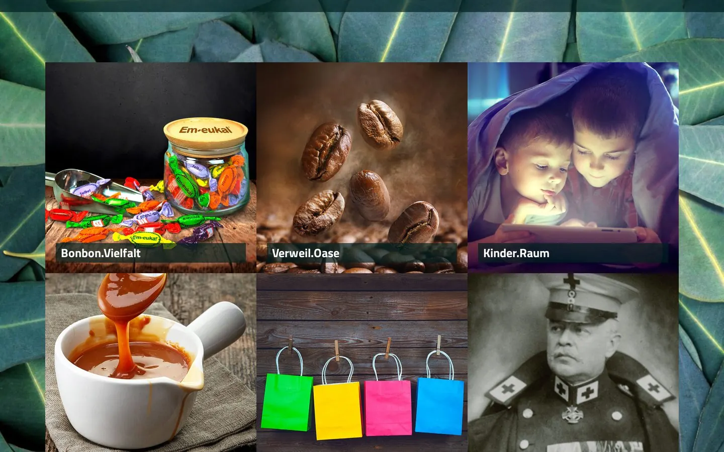 Screenshot soldan-erlebniswelt.de
